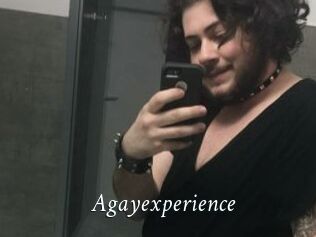 Agayexperience