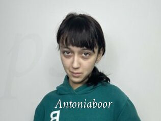 Antoniaboor