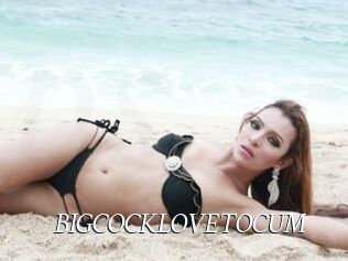 BIGCOCKLOVETOCUM