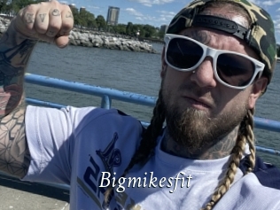 Bigmikesfit