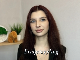 Bridgetappling