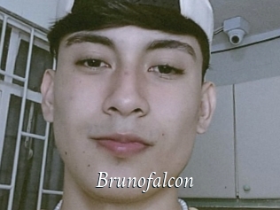 Brunofalcon