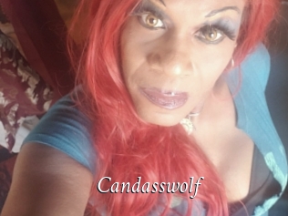 Candasswolf