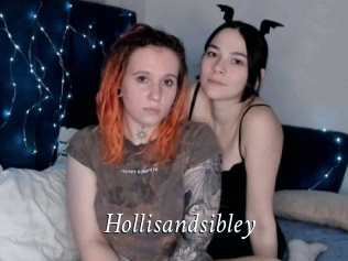 Hollisandsibley