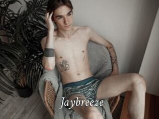 Jaybreeze