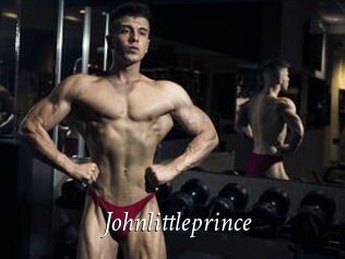 Johnlittleprince