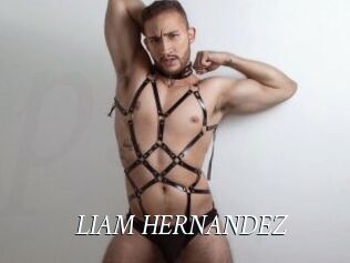 LIAM_HERNANDEZ
