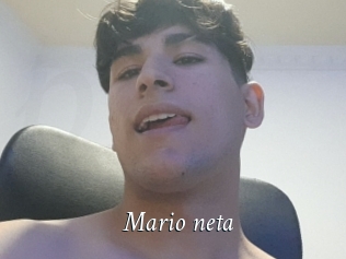 Mario_neta