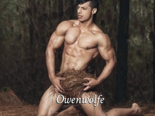 Owenwolfe