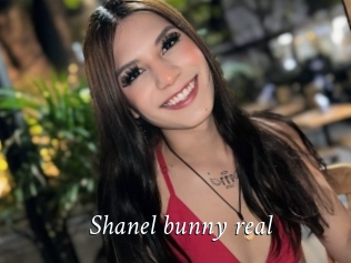 Shanel_bunny_real