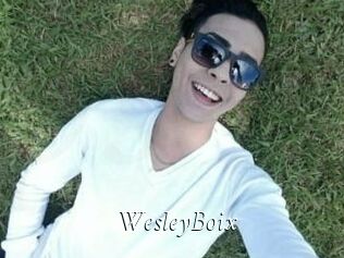 Wesley_Boix