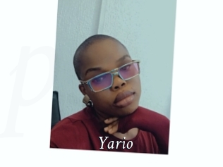 Yario